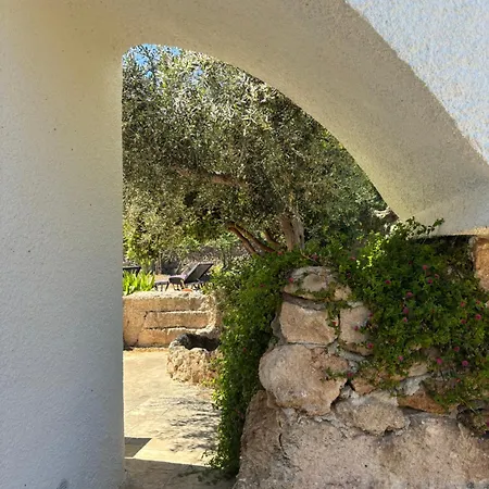 Aquarium - Con Accesso Al Mare - Parcheggio * San Vito (Apulia)