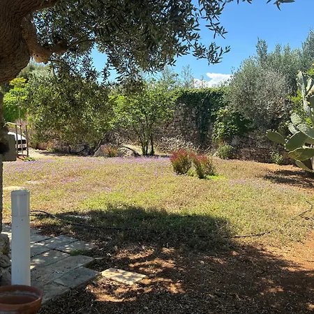 Apartamento Aquarium - Con Accesso Al Mare - Parcheggio San Vito (Apulia)
