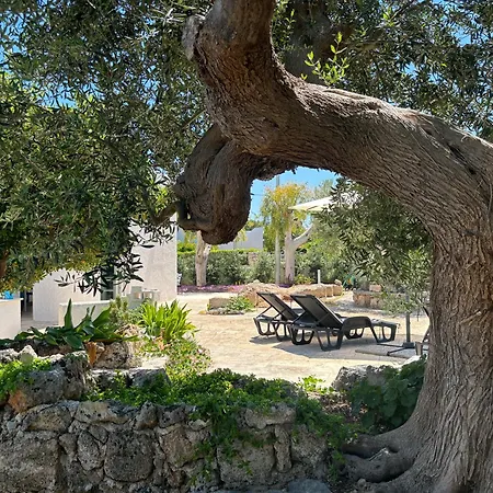 Apartamento Aquarium - Con Accesso Al Mare - Parcheggio San Vito (Apulia)